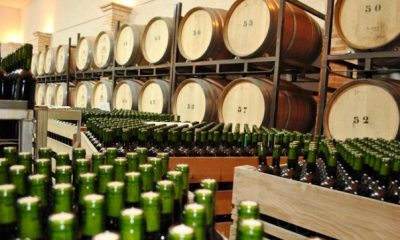 Nuevo servicio para empresas de vitivinicltura