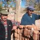 Trabajadores rurales