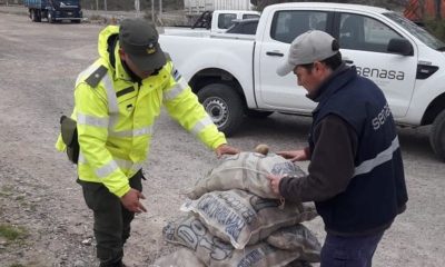 Senasa decomisa alimentos