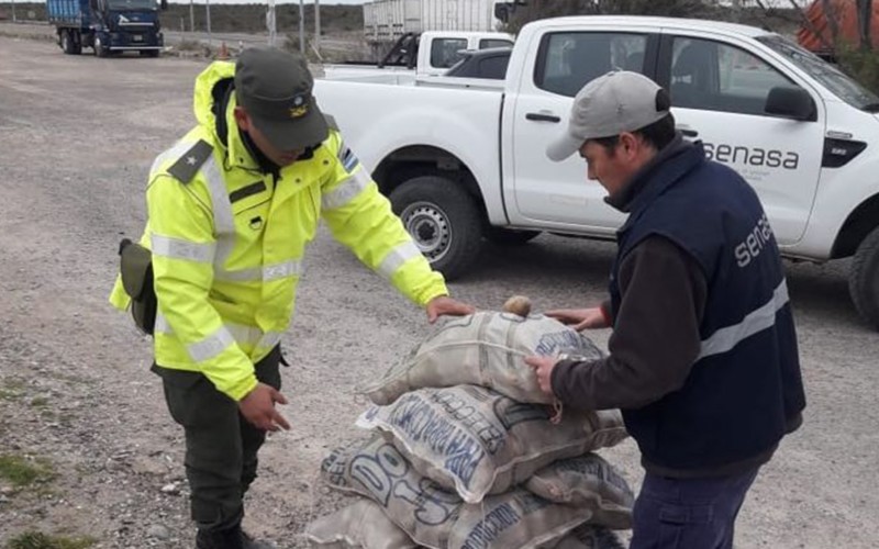 Senasa decomisa alimentos