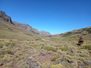 Ya han construido dos acueductos por un total de 17 kilómetros dentro del campo.