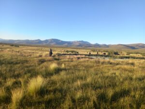 La estancia ocupa un total de 13500 hectáreas.