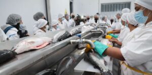 El anuario de SENASA destaca el gran crecimiento en la exportación de salmón.
