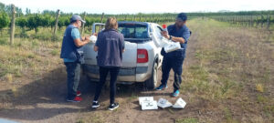 Las tareas de prevención incluyeron restricciones al movimiento de frutas e intensificación de la red de trampeo.
