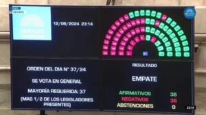 Se aprobó en el Senado la Ley Bases.