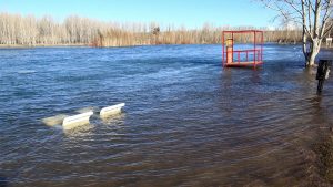 Crecida el caudal del río Limay.