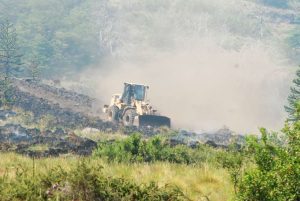 El incendio de 2013 arrasó más de 1200 hectáreas.