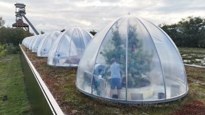 Las cúpulas simulan condiciones climáticas simuladas del año 2040.