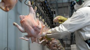 La mayor participación la tuvieron los productores de pollo.