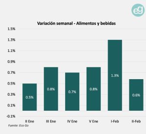 Informe de EcoGo.