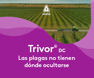 Anuncie Aquí