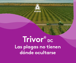 Anuncie Aquí