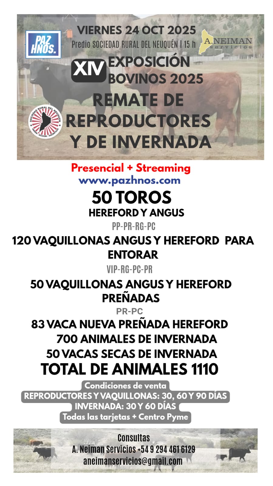 Anuncie Aquí
